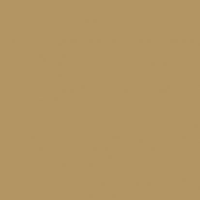 Beige Brown - Surface America