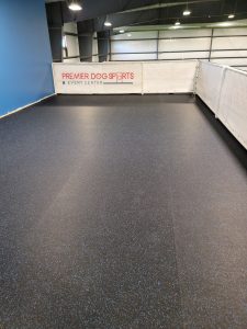 indoor dog sports floor